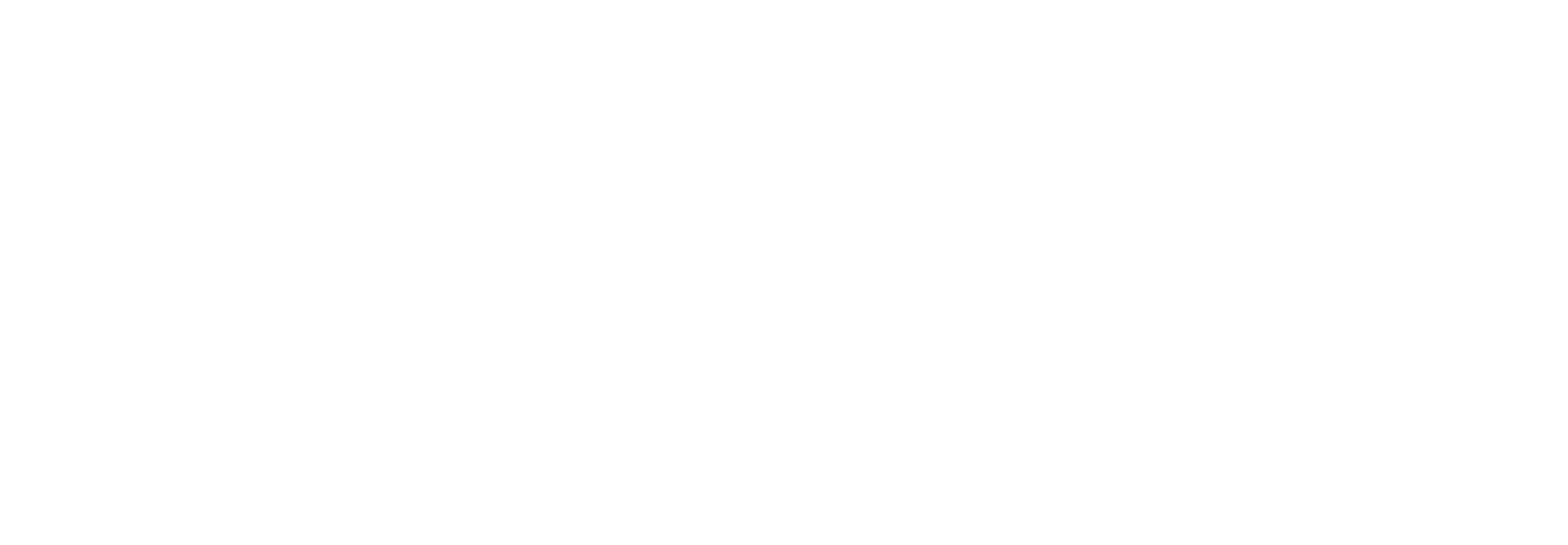 Frame-1171279270-2048x712-1-1.png