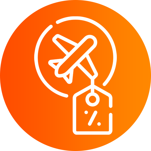 Plane icon with a price tag, symbolizing flight booking or airfare.